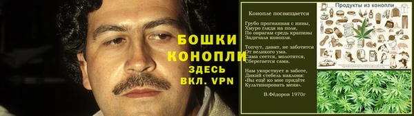 прущие грибы Балахна