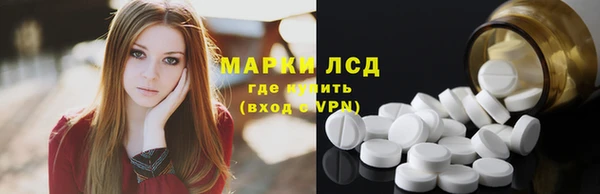прущие грибы Балахна