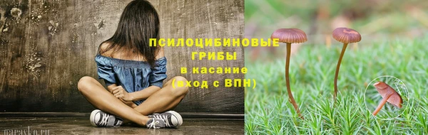 гидропоника Арсеньев