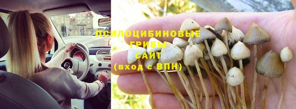 мет Аркадак