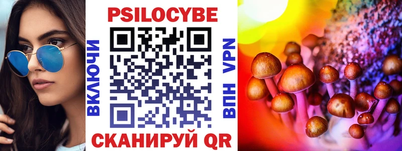сколько стоит  гидра маркетплейс  Псилоцибиновые грибы Magic Shrooms  Михайловка 